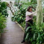 PIERRE_FABRE_CONQUETE_2025_3 copie 4